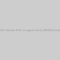 Image of RAB3D, Member RAS Oncogene Family (RAB3D) Antibody